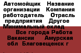 Автомойщик › Название организации ­ Компания-работодатель › Отрасль предприятия ­ Другое › Минимальный оклад ­ 15 000 - Все города Работа » Вакансии   . Амурская обл.,Благовещенск г.